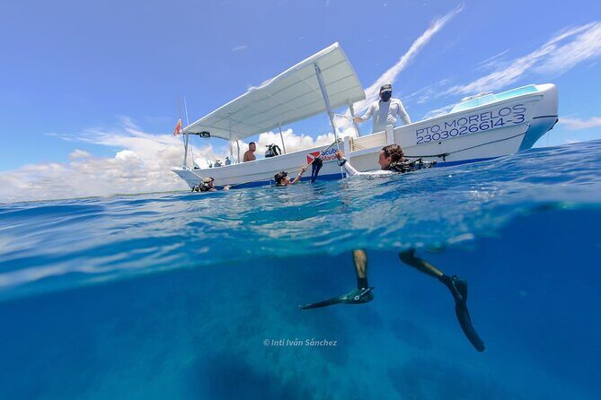 Scuba Referral Dives & Beach Club with Transportation In Riviera Maya - Who Should Consider This Tour?
