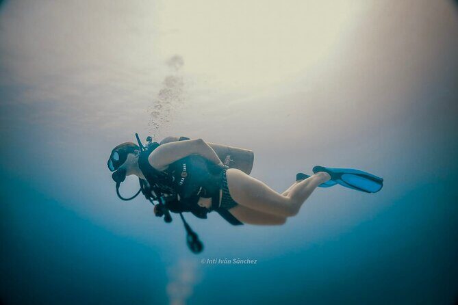 Scuba Referral Dives & Beach Club with Transportation In Riviera Maya - FAQ