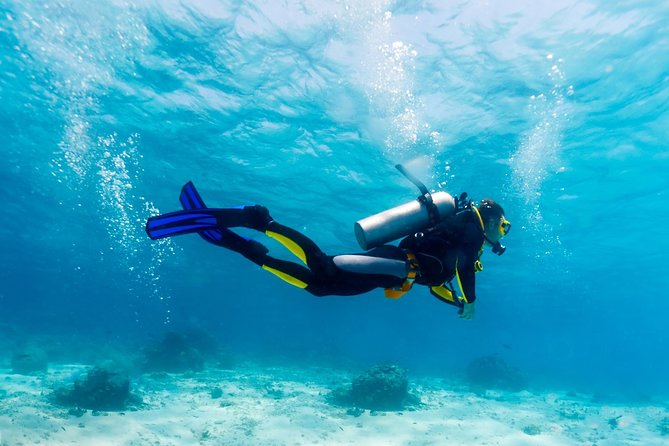 Scuba Referral Dives & Beach Club With Transportation in Riviera Maya - The Sum Up
