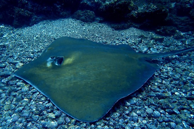 Scuba Refresher Course (Half Day) - Meeting Details and Logistics