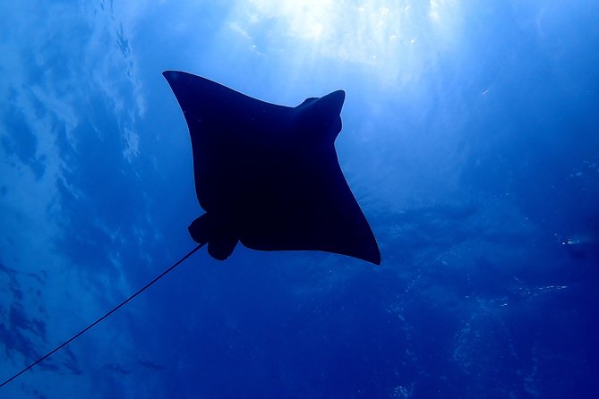 Scuba Refresher Course (Half Day) - Participant Expectations and Requirements
