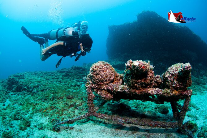 Scuba With Marine Life in Playa Del Amor, a Hidden Beach  - Puerto Vallarta - Pricing and Booking