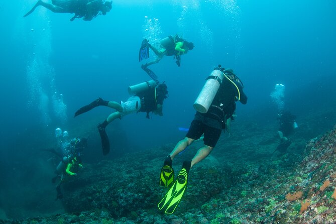 Scuba With Marine Life in Playa Del Amor, a Hidden Beach  - Puerto Vallarta - Common Questions