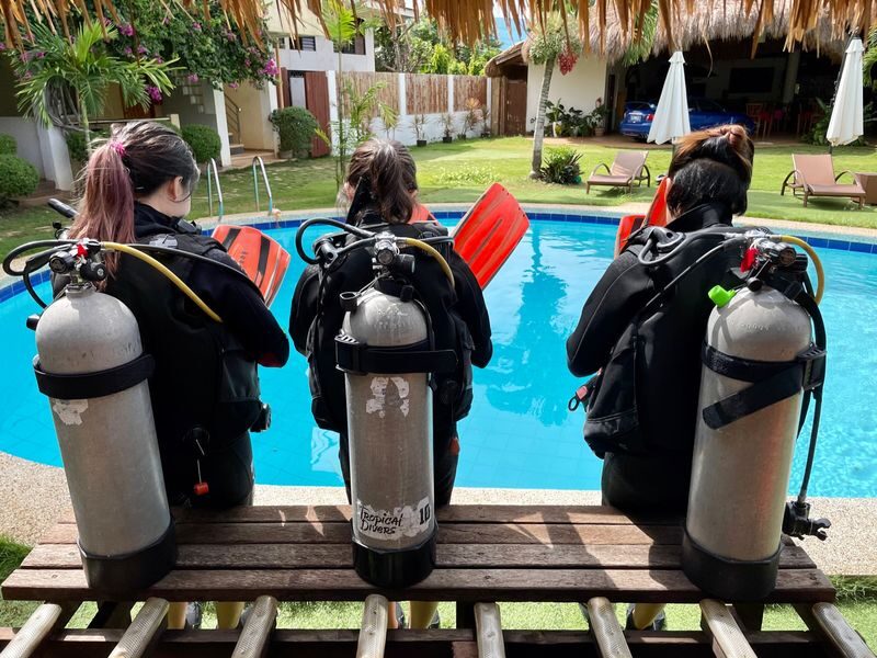 Scuba Wonders Discovery for Beginners with PADI 5* Dive Center - What the price means for a first-time visitor