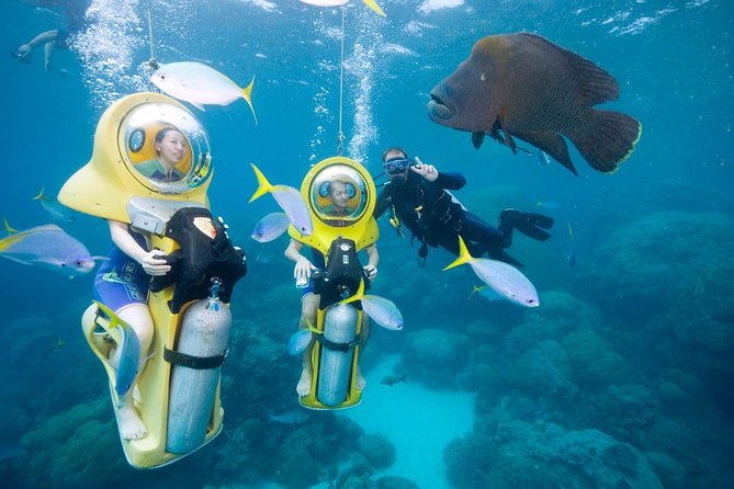 Scubadoo - Explore the Ocean in Punta Cana - ScubaDoo Activity Details