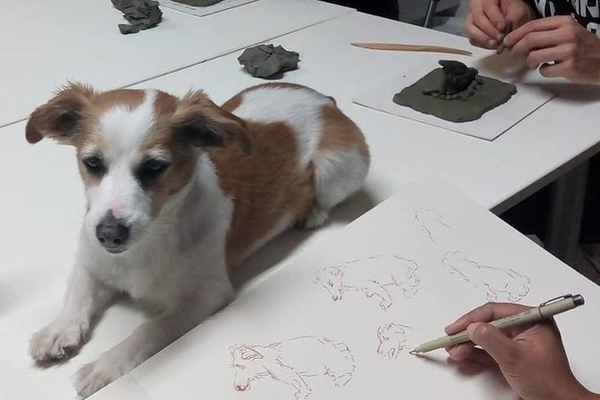 Sculpt to Florentine Pet - Location Details