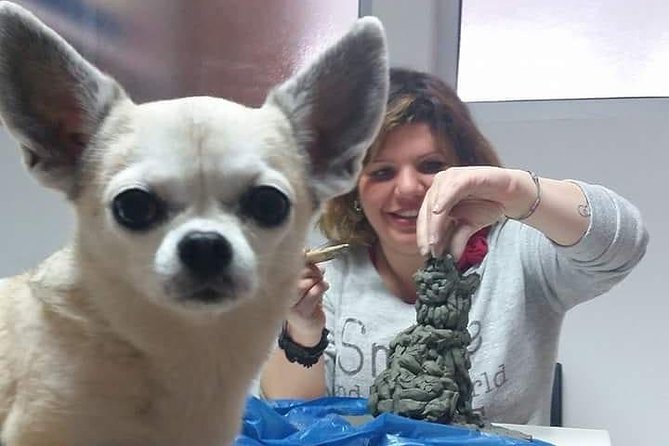 Sculpt to Florentine Pet - Activity Start Time