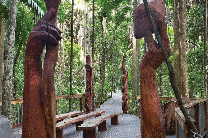 Sea Acres National Park: Sea Acres Aboriginal Coastal Tour - Exploring the Sea Acres Aboriginal Coastal Tour: A Genuine Connection to Nature and Culture