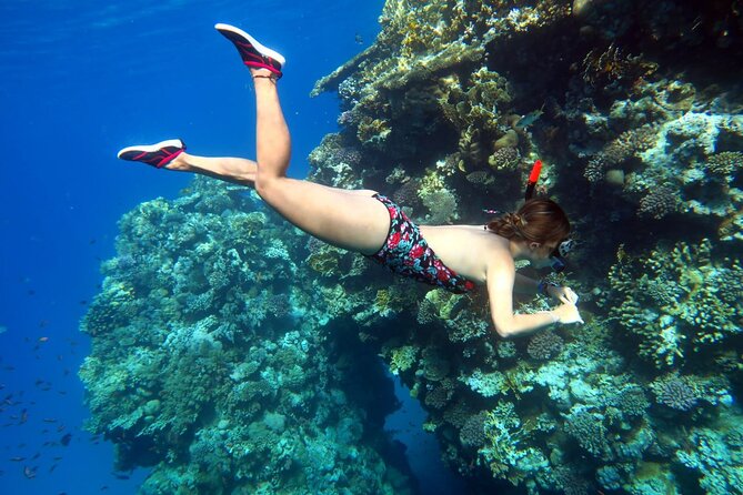 Sea Adventure To Ras Mohamed With 1 Diving Stop - Sharm El Sheikh - Pickup Information