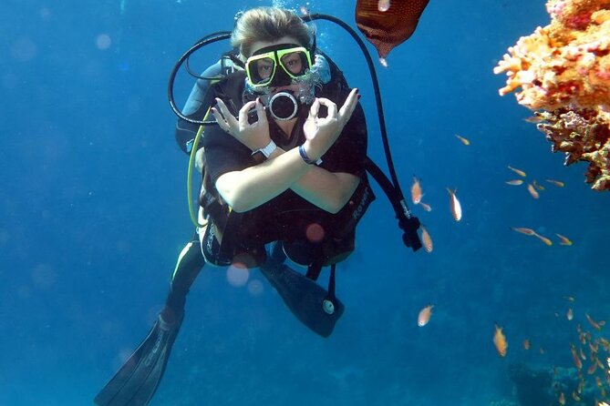 Sea Adventure To Ras Mohamed With 1 Diving Stop - Sharm El Sheikh - Cancellation Policy