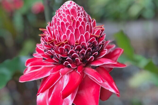 Sea and Land Tour from Marigot Bay to Soufriere - The Sum Up