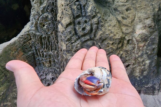 Sea Cave Adventure From San Juan - Traveler Photos