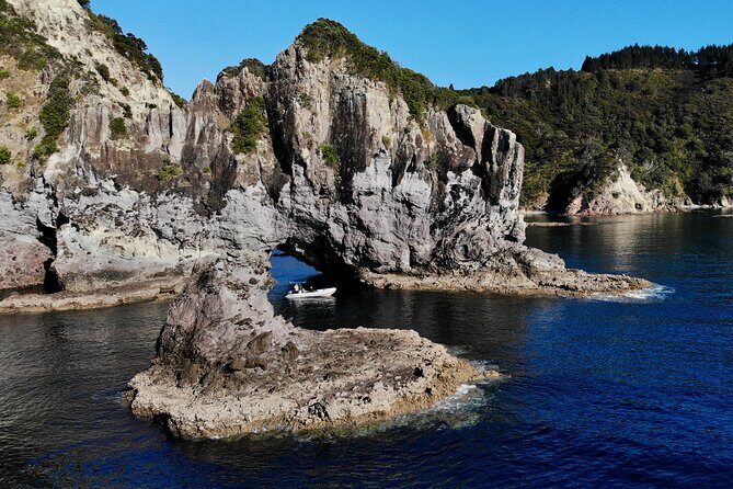 Sea Cave Adventures in the Coromandel - Who Should Consider This Tour?
