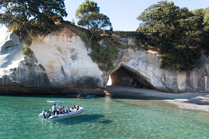 Sea Cave Adventures in Whitianga - Cancellation Policy