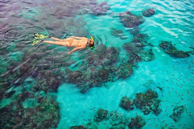 Sea Cave Snorkel Adventure on Navy Speed Boat! in Kona - What to Bring and Wear