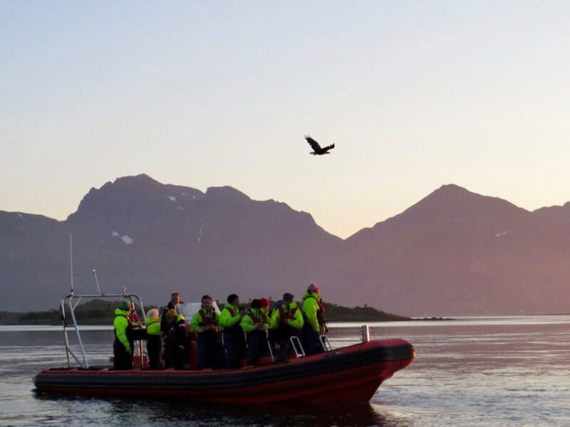 Sea Eagle/Nature Safari - What to Expect from the Tour