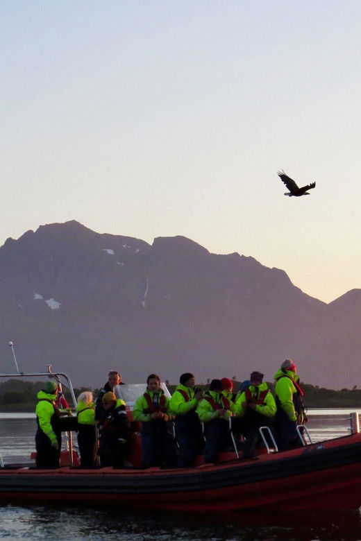 Sea Eagle/Nature Safari - FAQs