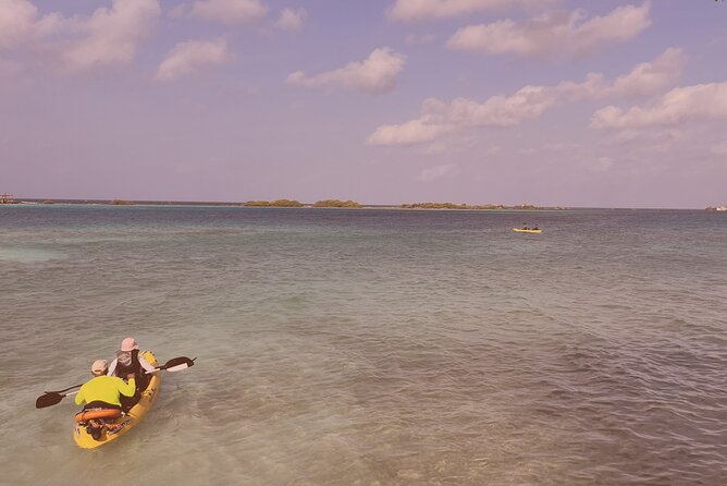 Sea Glass Island Kayak & Sunset Tour - Duration and Meeting Point Information