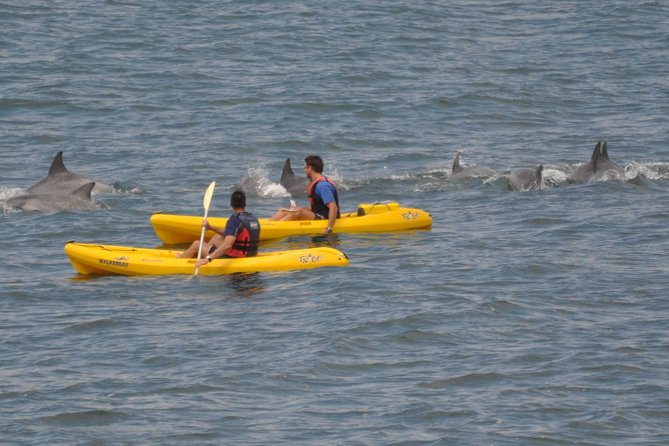 Sea Kayak and Cape Point Private Tour From Cape Town - Departure Point and Time