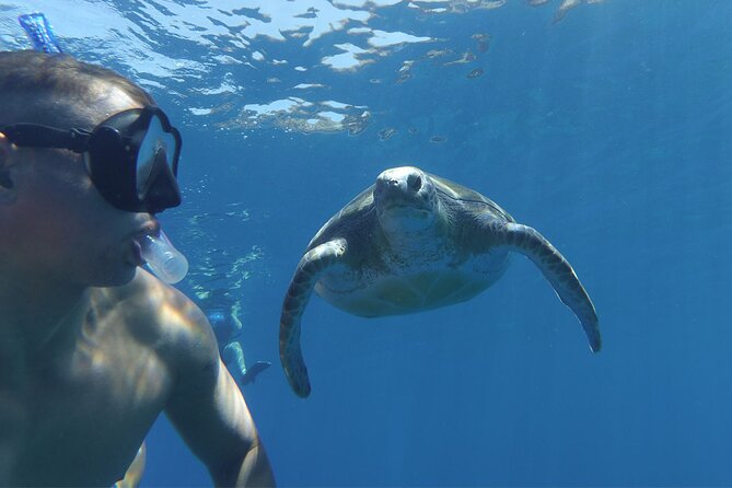 Sea Kayak Tour in Los Cristianos - Meeting and Pickup