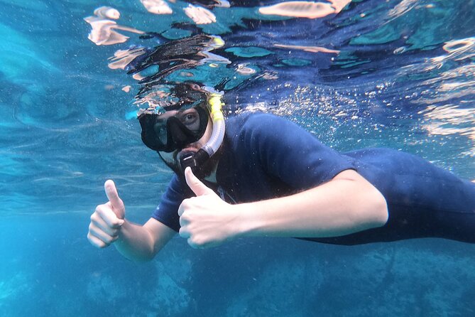 Sea Kayak Tour in Los Cristianos - Common Questions