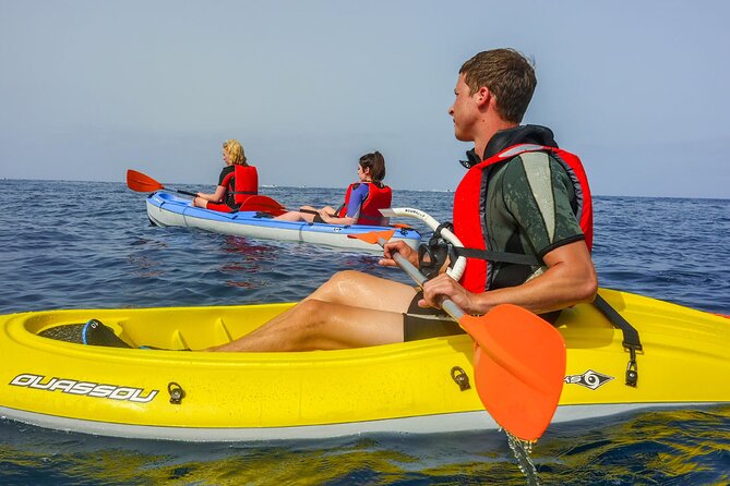 Sea Kayak Tour in Los Cristianos - The Sum Up
