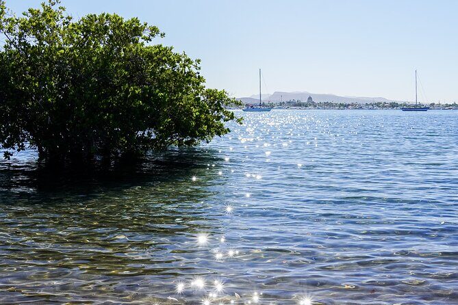 Sea Kayak Tour Mangrove Safari - FAQ