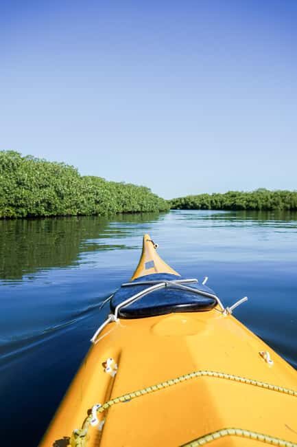 Sea Kayak Tour - Mangrove Safari - Good To Know