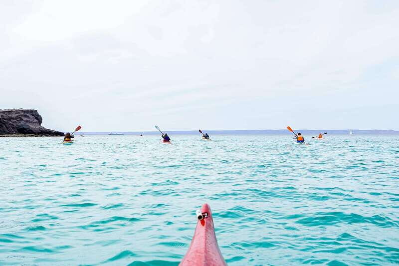 Sea Kayak Tour - Marine Safari - An In-Depth Look at the Sea Kayak Tour - Marine Safari