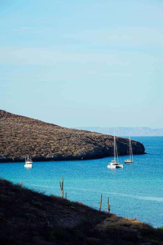 Sea Kayak Tour - Marine Safari - Who Will Love This Tour?