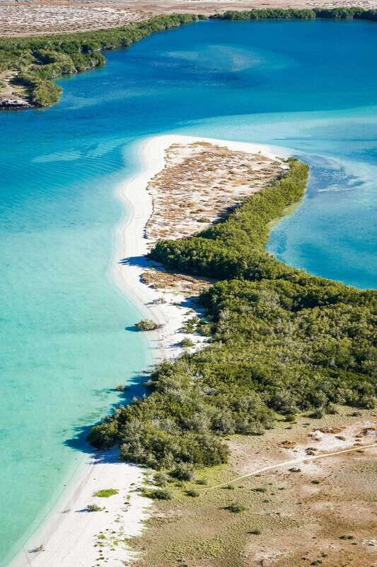 Sea Kayak Tour - Marine Safari - The Sum Up