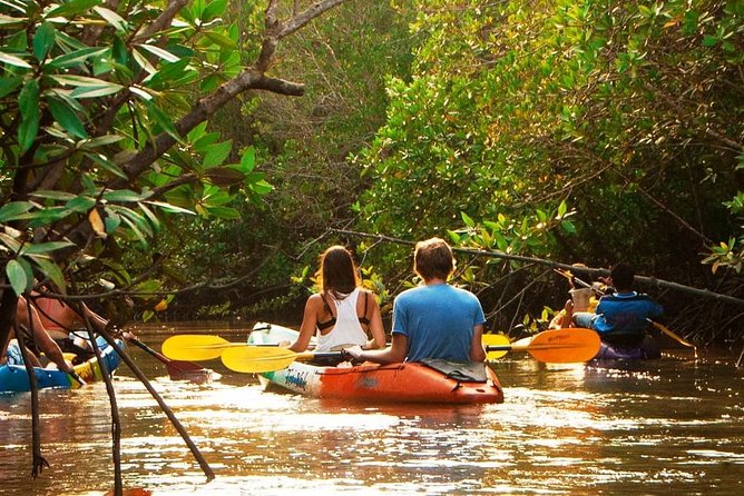 Sea Kayaking Adventure at Ao Thalane Bay From Krabi (Sha Plus) - Cancellation Policy and Contact Information