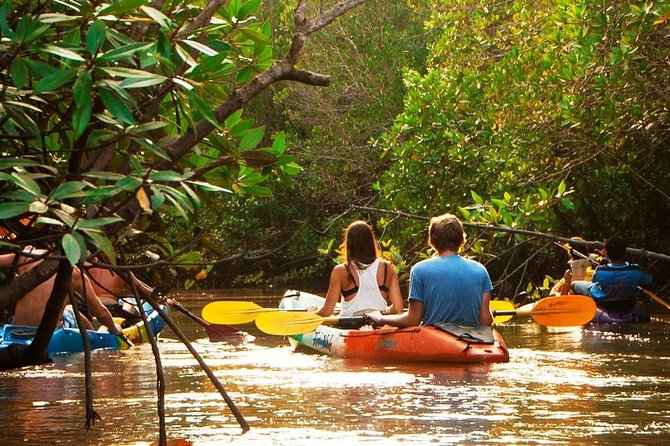 Sea Kayaking Adventure at Ao Thalane Bay From Krabi (Sha Plus) - Cancellation Policy