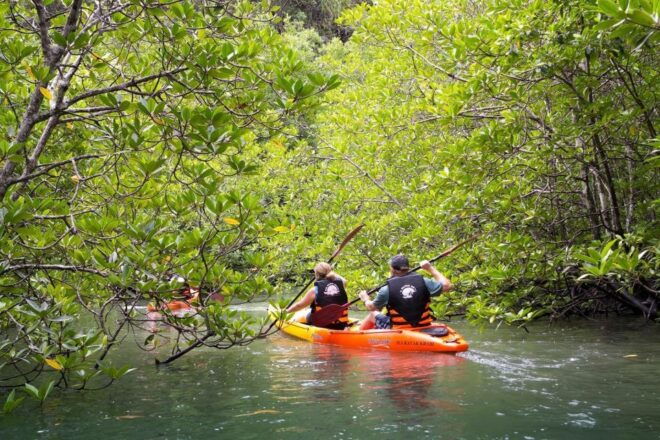 Sea Kayaking in Ao Thalane & Optional Full-Day Hong Island - Optional Visit to Hong Island