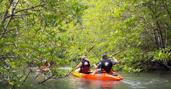 Sea Kayaking in Ao Thalane & Optional Full-Day Hong Island - Additional Optional Activities