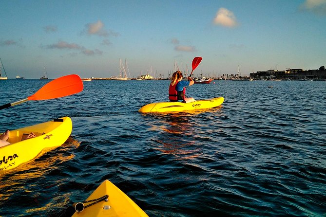 Sea Kayaking in Cascais Bay, Lisbon - Private Group - Reviews