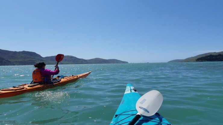 Sea Kayaking Tour Form Christchurch (Lyttelton) - Tour Details