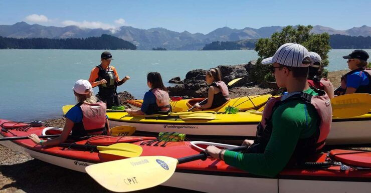 Sea Kayaking Tour Form Christchurch (Lyttelton) - Itinerary Highlights
