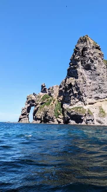 Sea Kayaking Tour - Otaru Coastal Adventure - An In-Depth Look at the Otaru Coastal Kayaking Experience