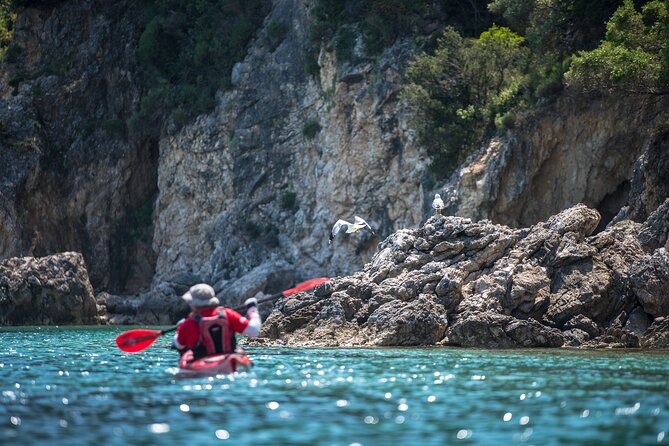 Sea Kayaking Tour Sea Caves Lefkada (Half Day) - Overall Summary