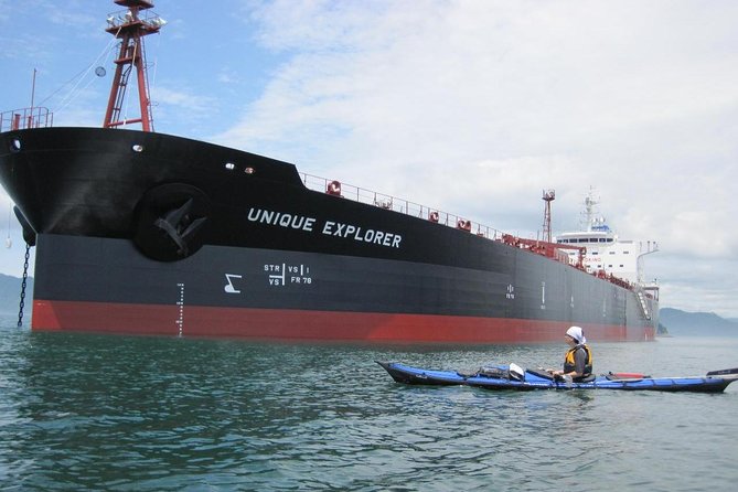 Sea Kayaking Tour With Lunch! a One-Day Adventure by Sea Kayak in Hiroshima - Itinerary