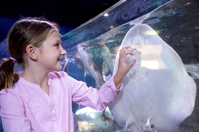 SEA LIFE Aquarium Arizona Admission Ticket - What to Expect at SEA LIFE Aquarium Arizona