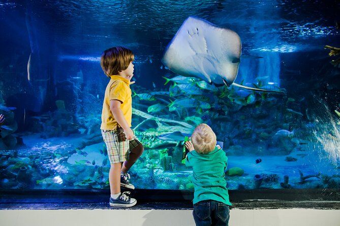 SEA LIFE Aquarium Arizona Admission Ticket - Additional Information