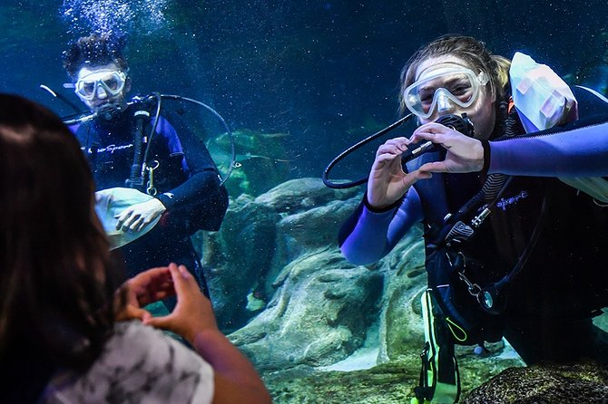 SEA LIFE Aquarium Arizona Admission Ticket - Non-refundable Ticket Policy