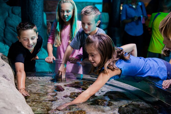 SEA LIFE Aquarium Arizona Admission Ticket - Mobile Ticket for Easy Access