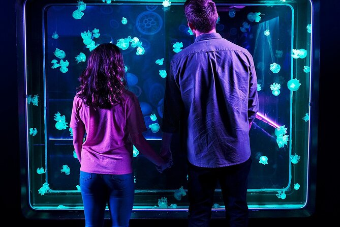SEA LIFE Aquarium Grapevine Admission Ticket - Educational Programs, Events, Dining, and Shopping Options