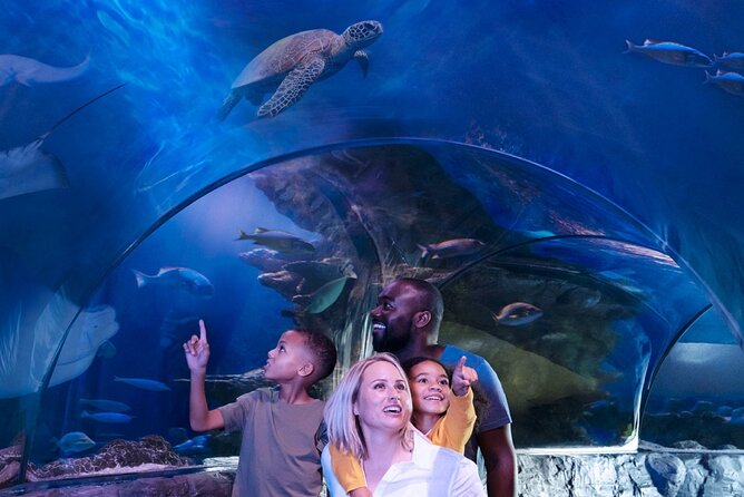 SEA LIFE Aquarium Minnesota Admission Ticket at Mall of America - Traveler Photos and Reviews