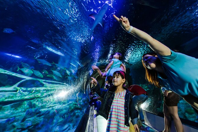 SEA LIFE Aquarium Minnesota Admission Ticket at Mall of America - Questions and Information