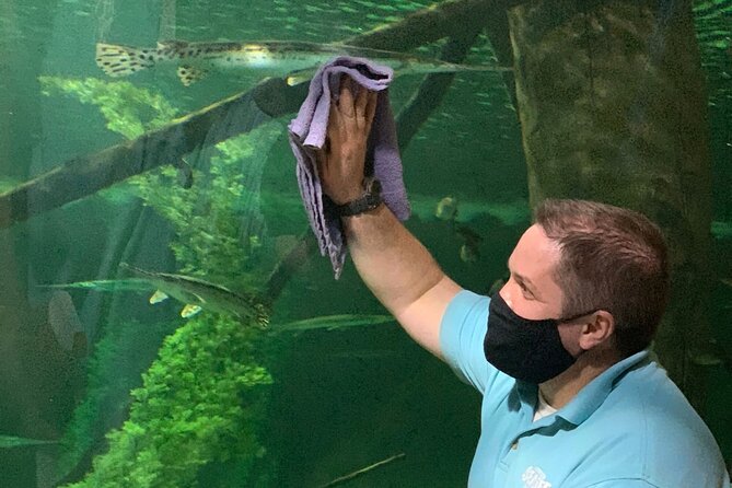SEA LIFE Aquarium Minnesota Admission Ticket at Mall of America - Admission Ticket Price