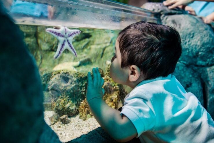 SEA LIFE Arizona Aquarium General Admission - Ticket Details